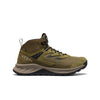 Martini Olive/Dark Olive