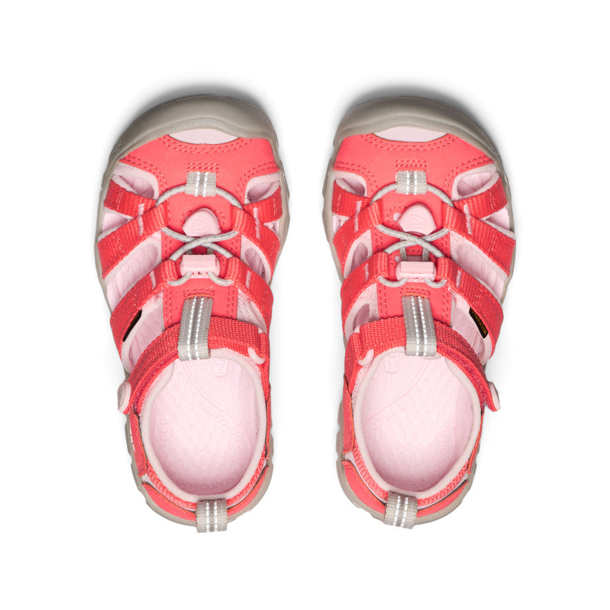 Little Kids' Seacamp II CNX Dubarry/Giggle Pink - Keen